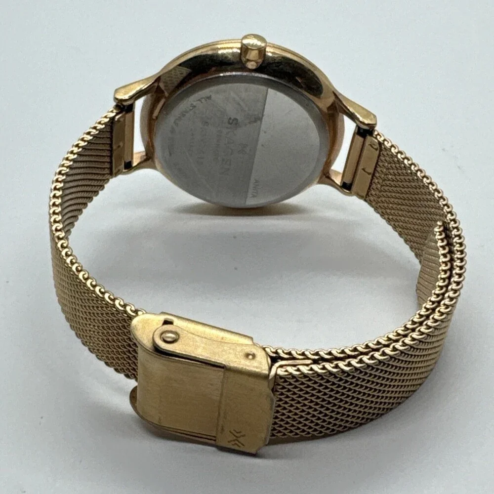 Skagen Anita SKW2413 Women's Gold Stainless Steel Mesh Analog Dial Watch AEA303